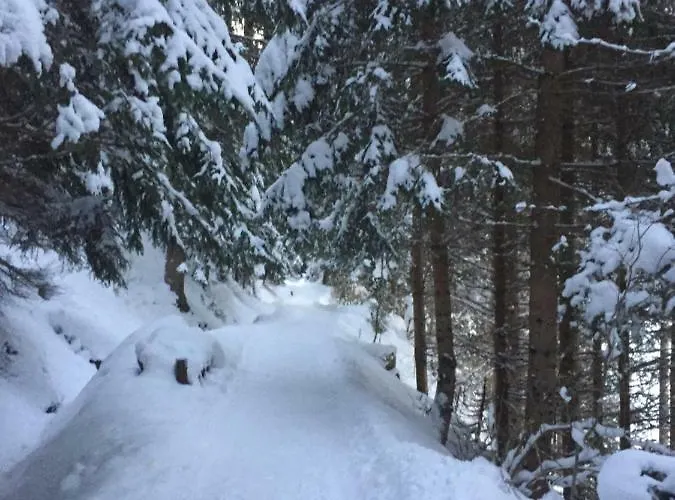 Lejlighed Haus Petrasch 